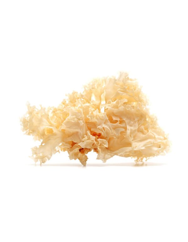 Dried White Fungus