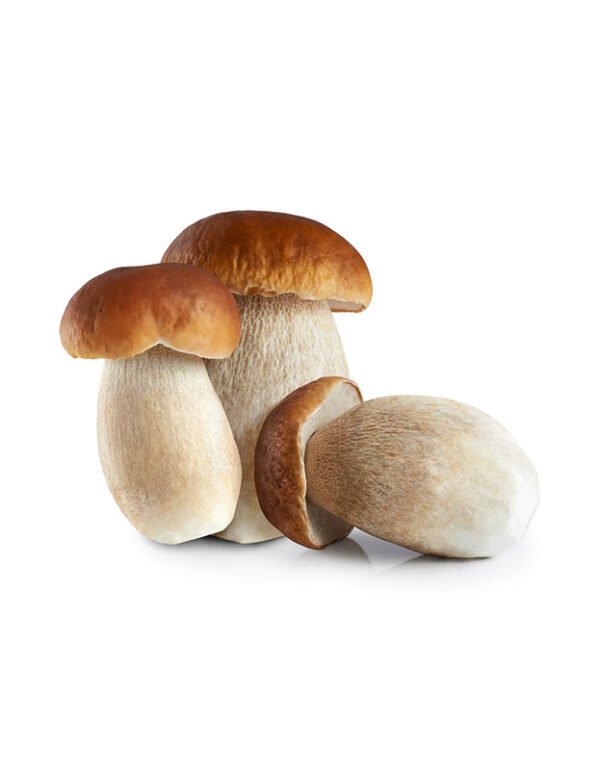 Mushrooms